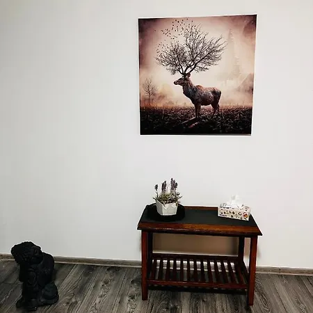 Apartamento Casa Lui Andrei - Berceni - Spitalul De Copii Marie Curie - Luica2 - Brancoveanu Fun Park Bucarest